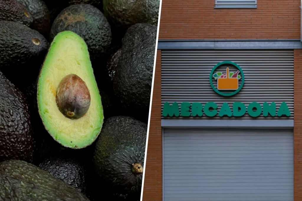 Mercadona revela el origen de sus aguacates: una estrategia para ganar confianza del consumidor.