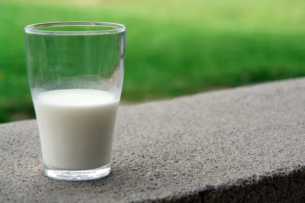 Nuevos estudios revelan beneficios de la leche para adultos, desafiando creencias antiguas