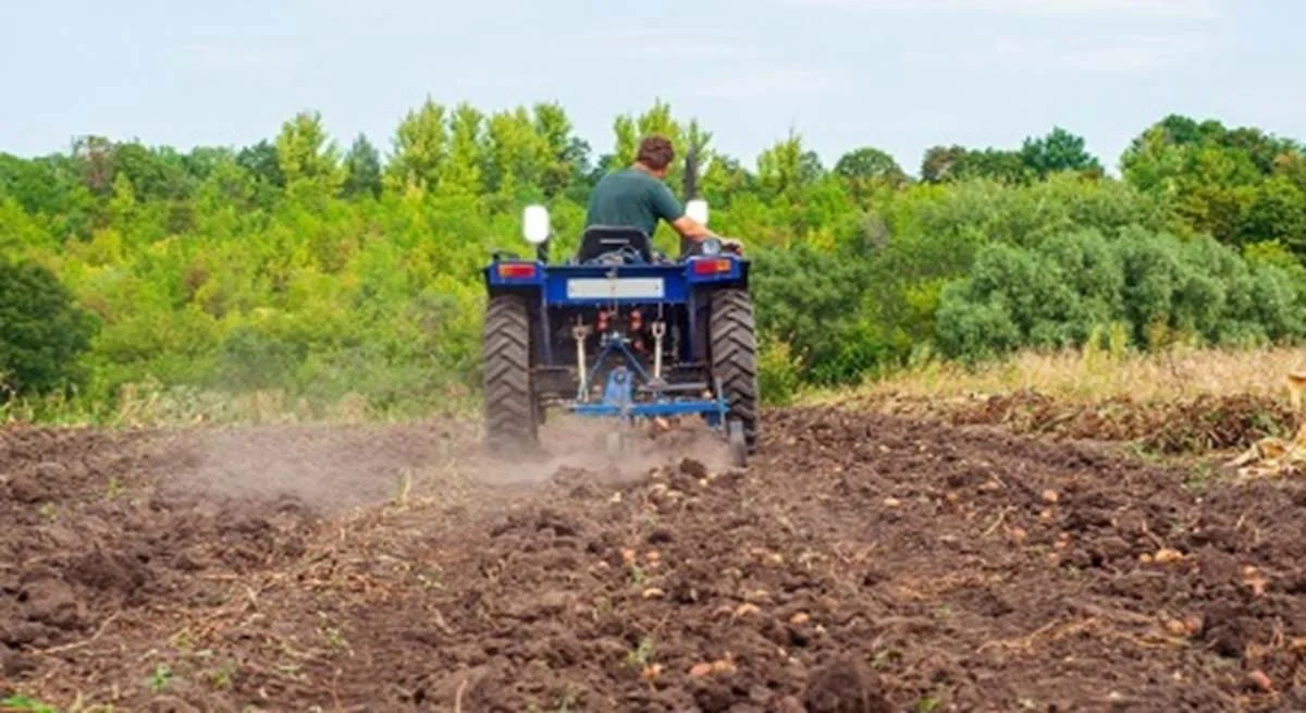 Pequeños agricultores se benefician de la simplificación de trámites en Europa