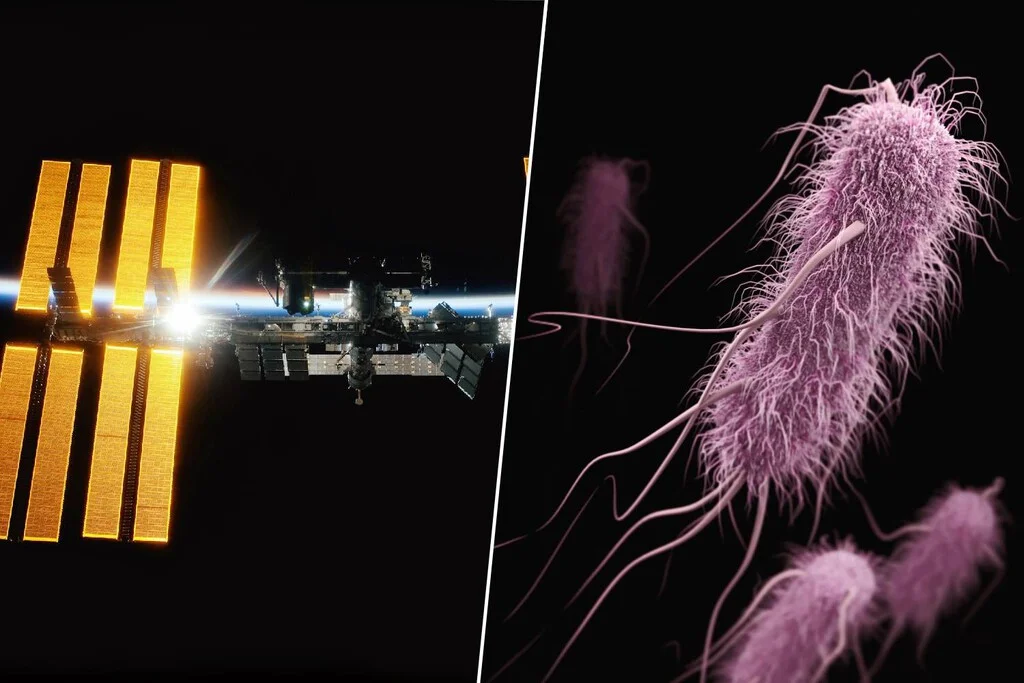 Un avance en la lucha contra superbacterias: nueva arma diseñada en el espacio