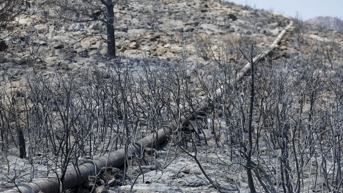 Vall d'Uixó se recupera tras un incendio devastador que arrasa 9.568 hectáreas